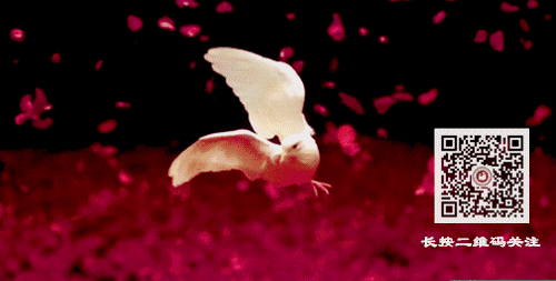 衡水一中邯郸分校｜2020美术特长生招生简章