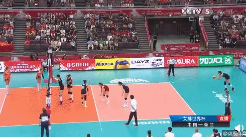 世界杯女排中國隊(duì)荷蘭隊(duì)（九連勝！中國女排3：1荷蘭女排再贏世界杯小組賽）