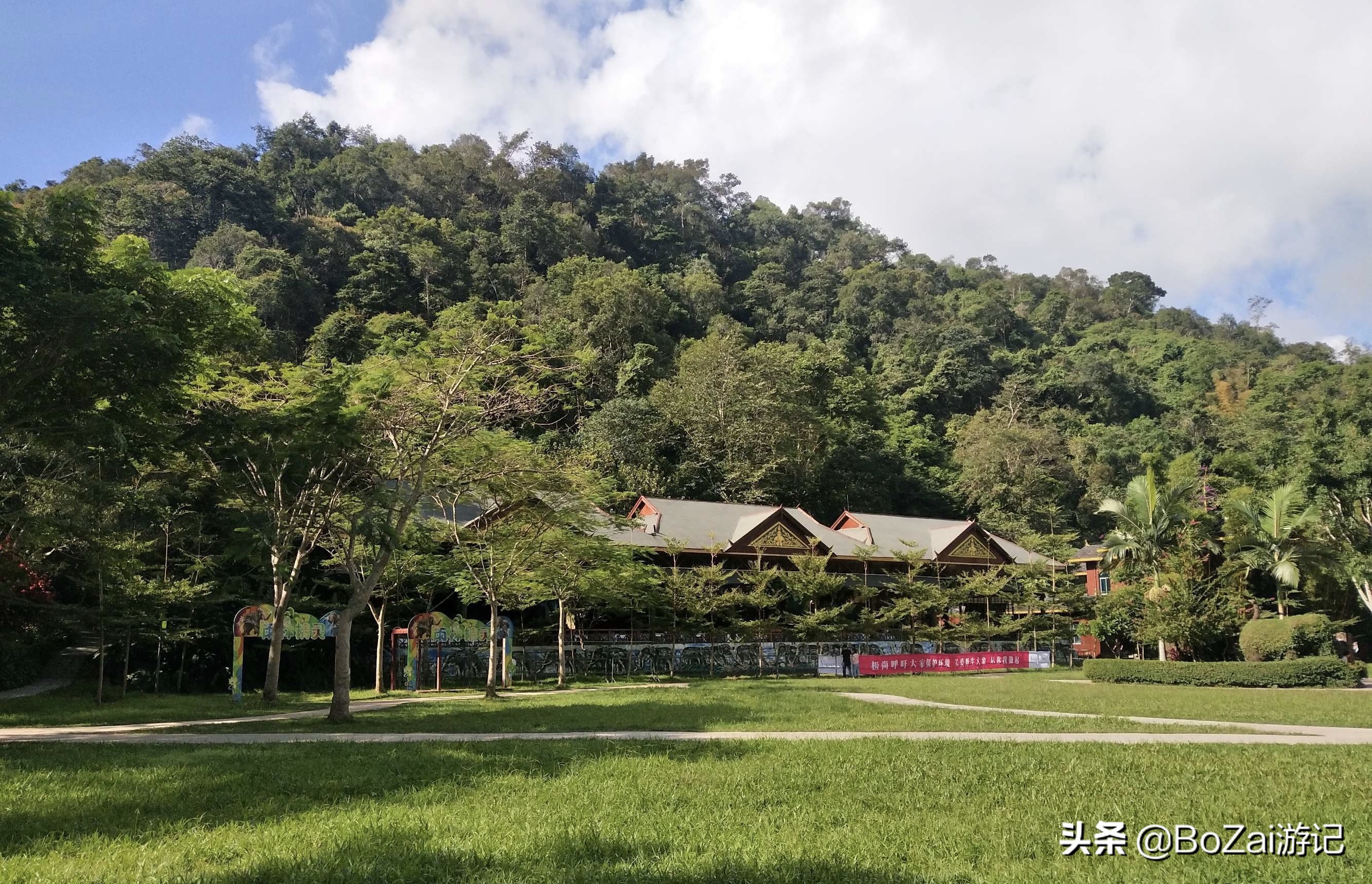 适合云南旅游的地方（到云南旅游不能错过的10大景点）