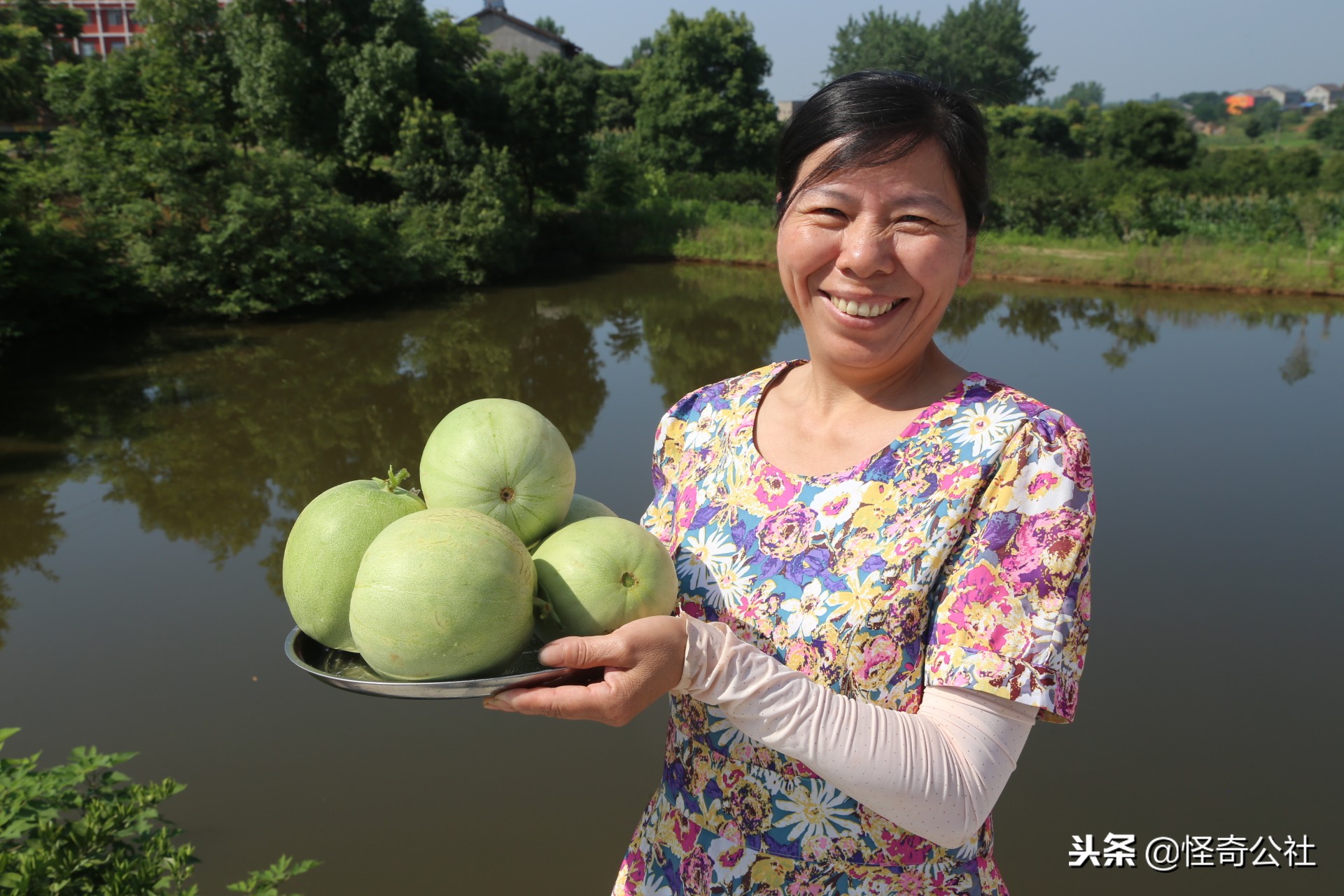 2019宜昌足球夏令(种瓜得瓜，湖北枝江农民种董市甜瓜成就“甜蜜产业”)