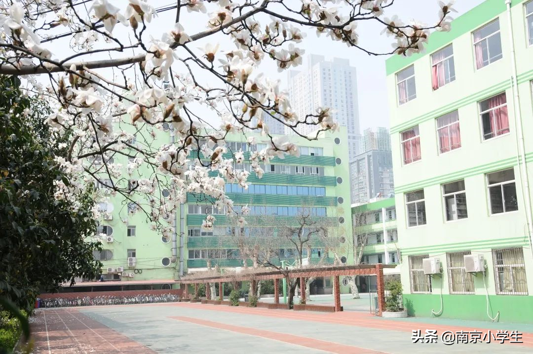 玄武区教育格局：小、初、高名校全盘点