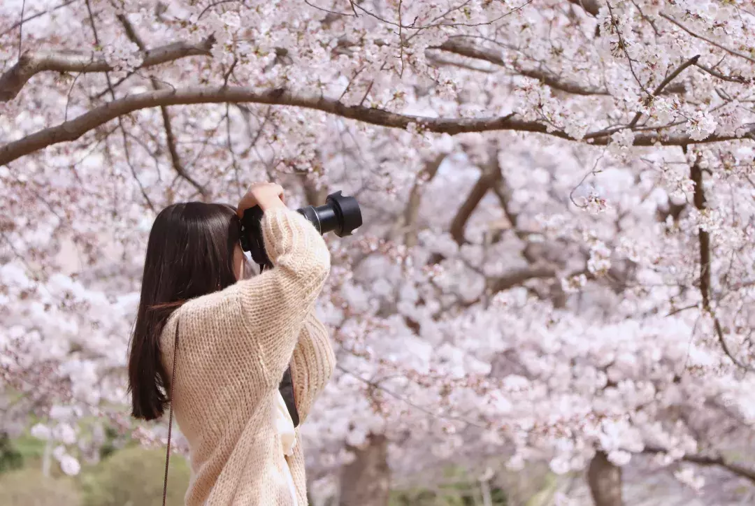 开学了，去青岛最美大学去逛一逛吧，个个堪比5A级景区