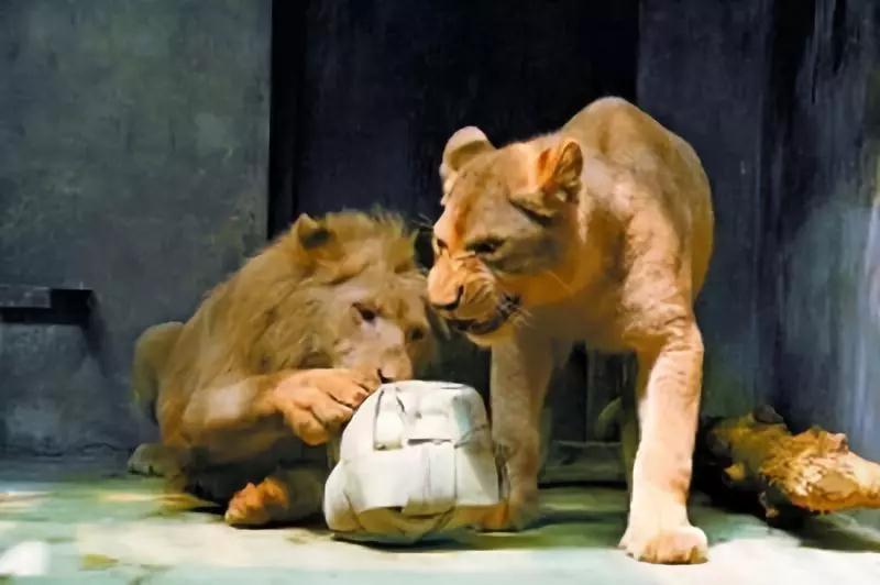 昆明最值得打卡的100个地方！你去过几个？