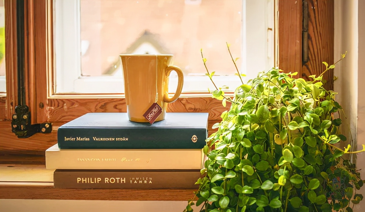 国学大师翟鸿燊语录(如何让人生更精彩)