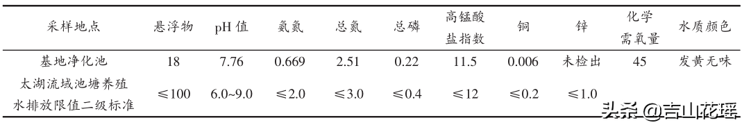 哪一种水草最增氧（带你了解各种水草功能和栽种要求）