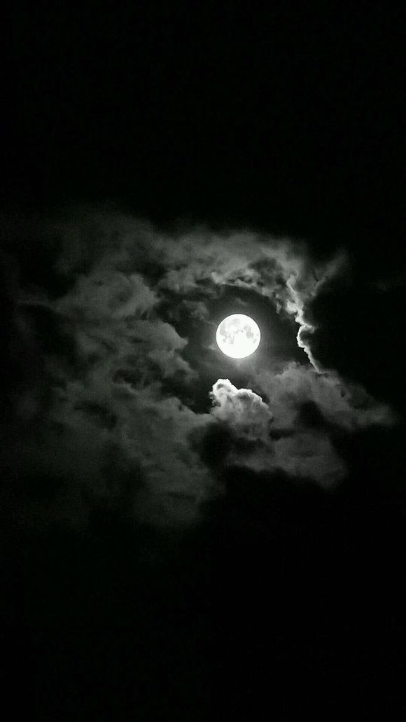 苟活的唯美句子_晶羽科技