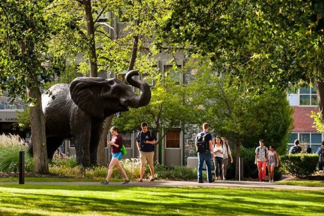 波士顿地区的名校，除了哈佛和MIT，还有这8所好大学