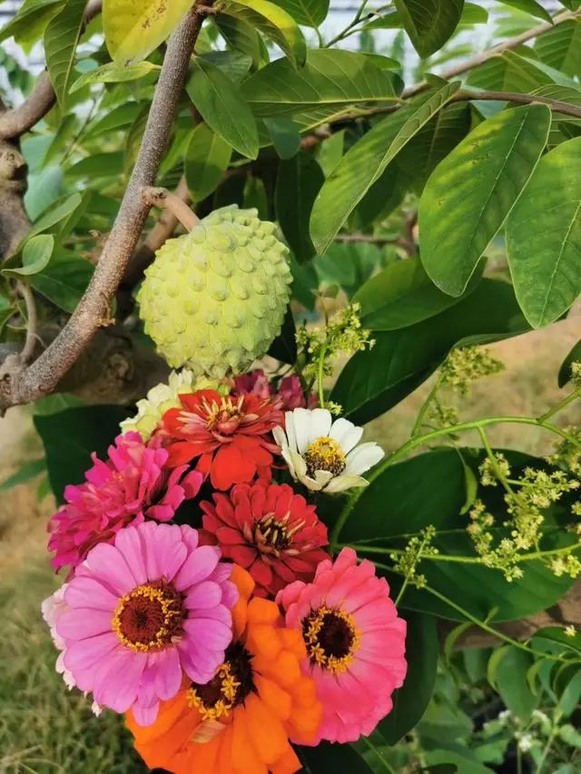 创业，你能承担多久的投入无回报？做实业，你要做好这些准备