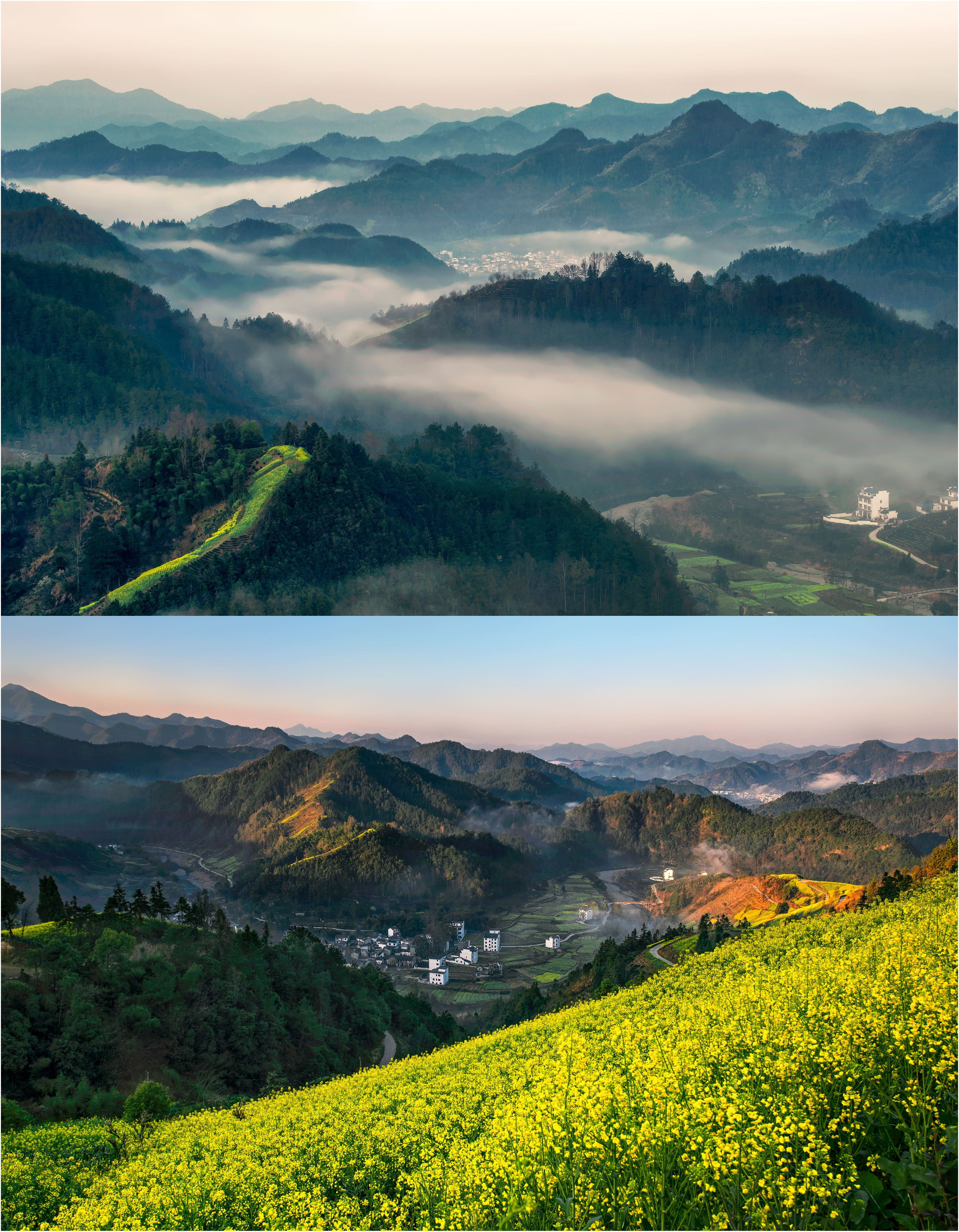 這裡被黃山,大會山,天目山,白際山,五龍山圍繞在懷,還有新安江,樂安河