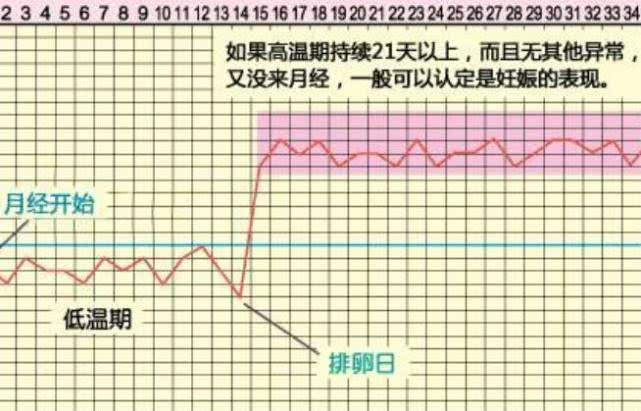 女人怀孕后，最早几天可以测出来？希望你没有搞错这个时间！