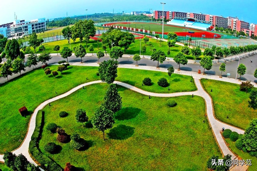 这5所大专稳居浙江高职第一梯队，实力等同高职领域的