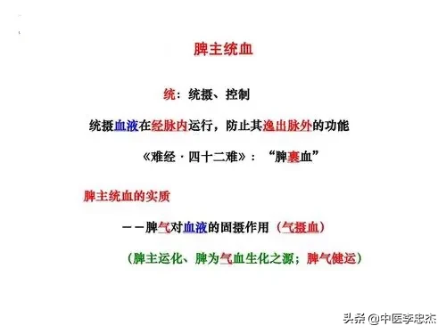 五脏的生理功能——脾脏