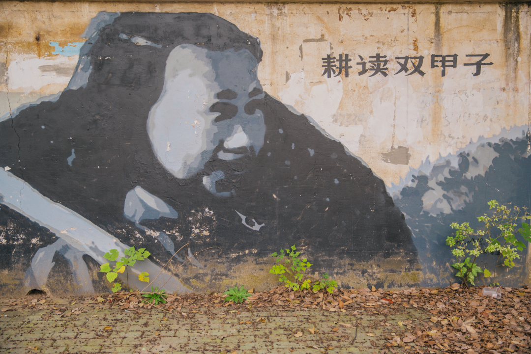 又是全国第一！华中农业大学，全体武汉人的骄傲