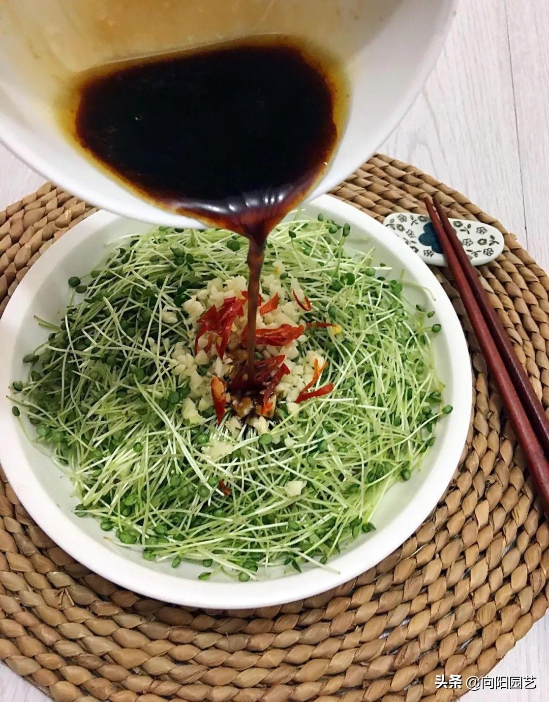 超市两块钱买把豆子，回家放盆里，倒点水，3天收获5斤豆芽