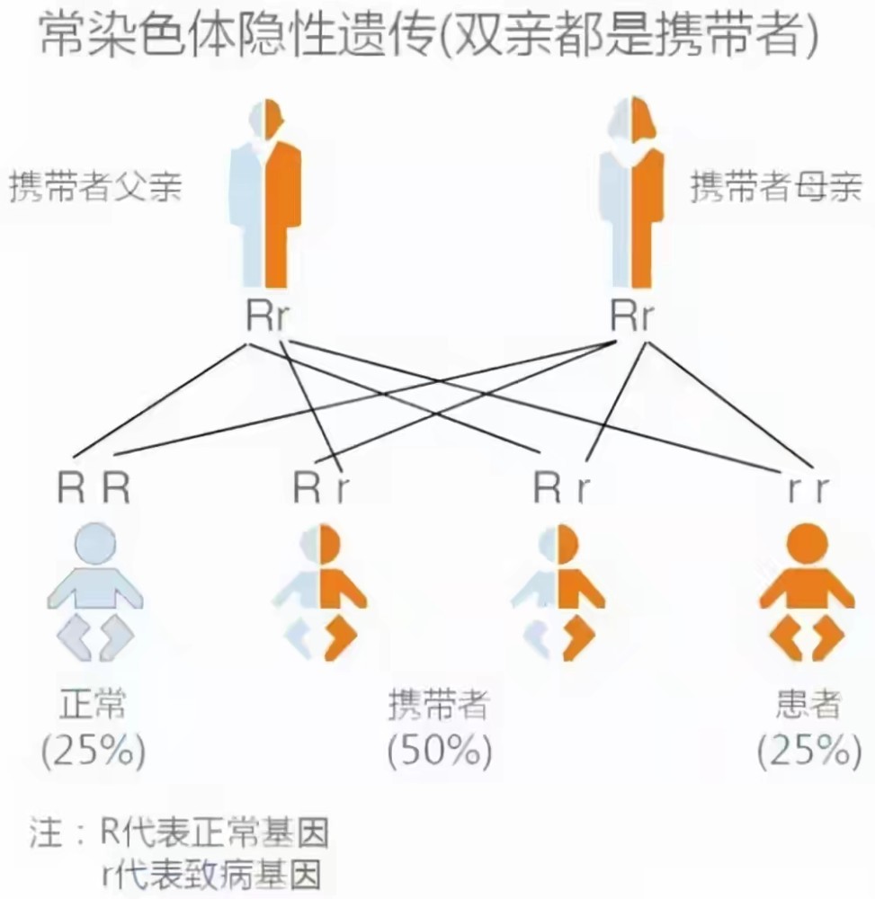 后代比近亲繁殖还要惨，为何鲨鱼还要单性繁殖？人类：全是我的错