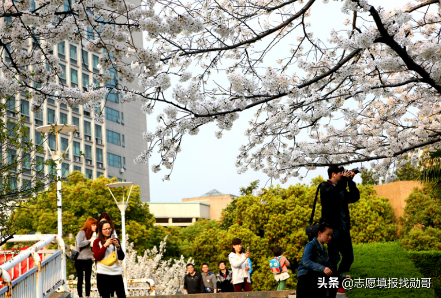 浙江工业大学和宁波大学，同为省内知名院校，你更看好谁？