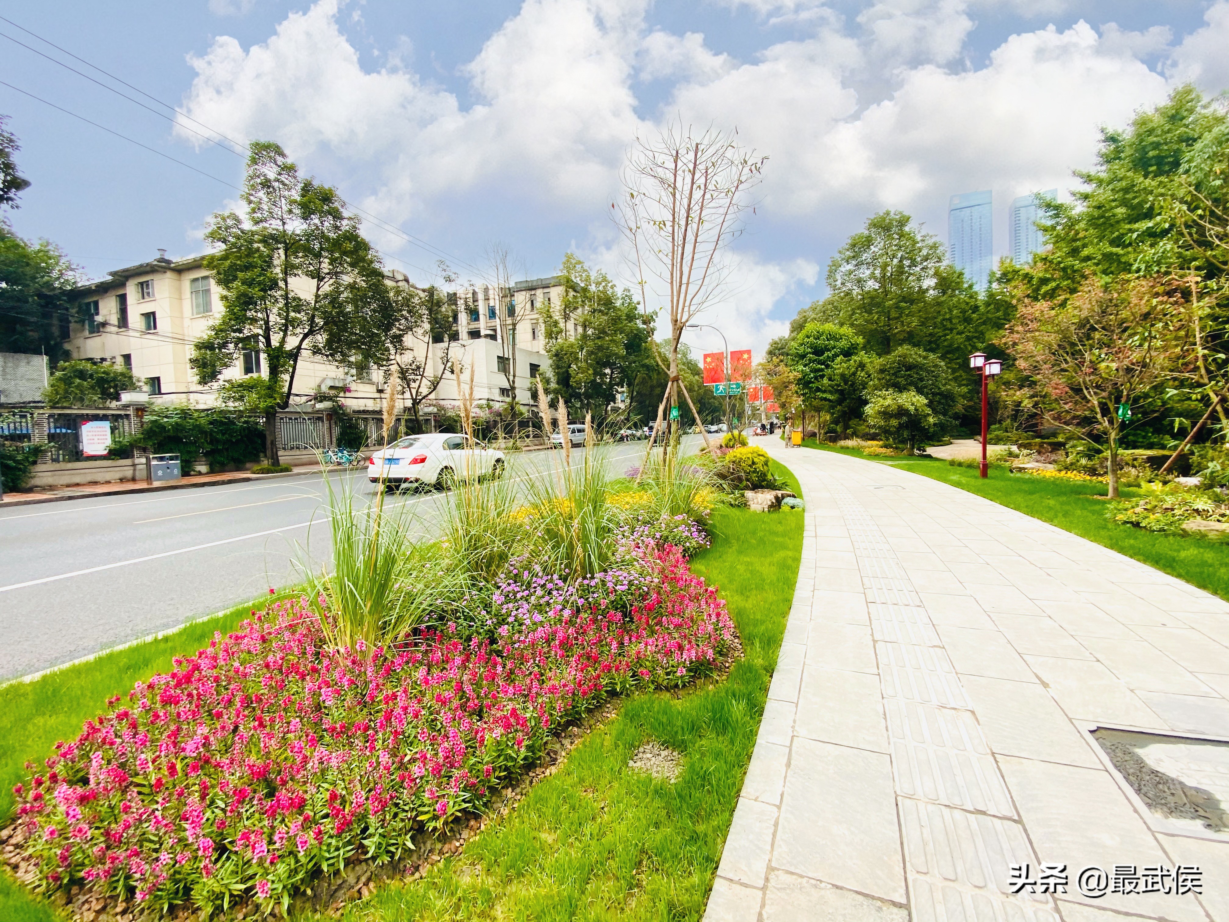 上百岁的望江楼公园又变美了：拆了一道围墙 多了好多景色