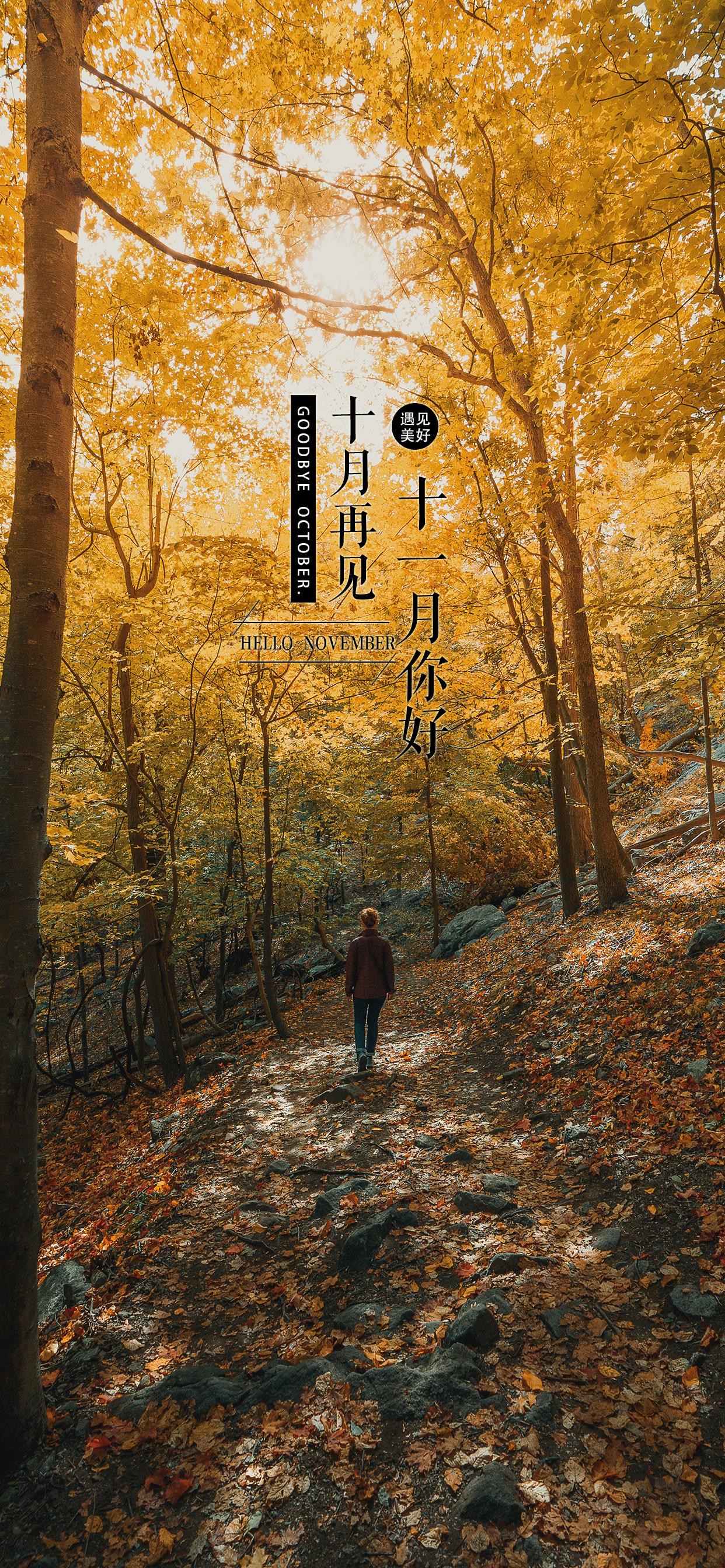 壁纸 </p><p>　　 十月再见啦，十一月，你好