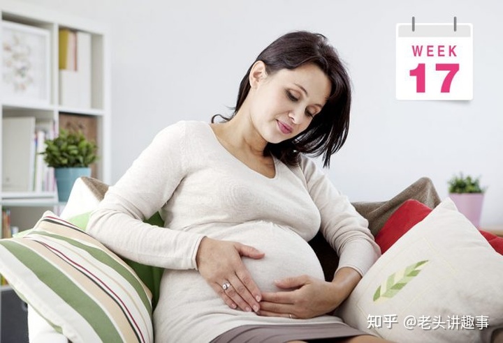 孕1-40周完整详细的胎儿发育过程图