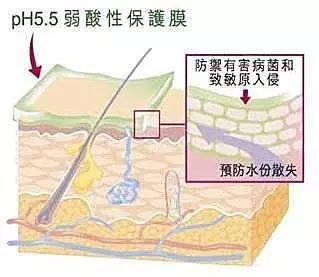 怎么从洗发水成分里看酸碱性（弱酸性洗发水十大排名）-第1张图片-科灵网