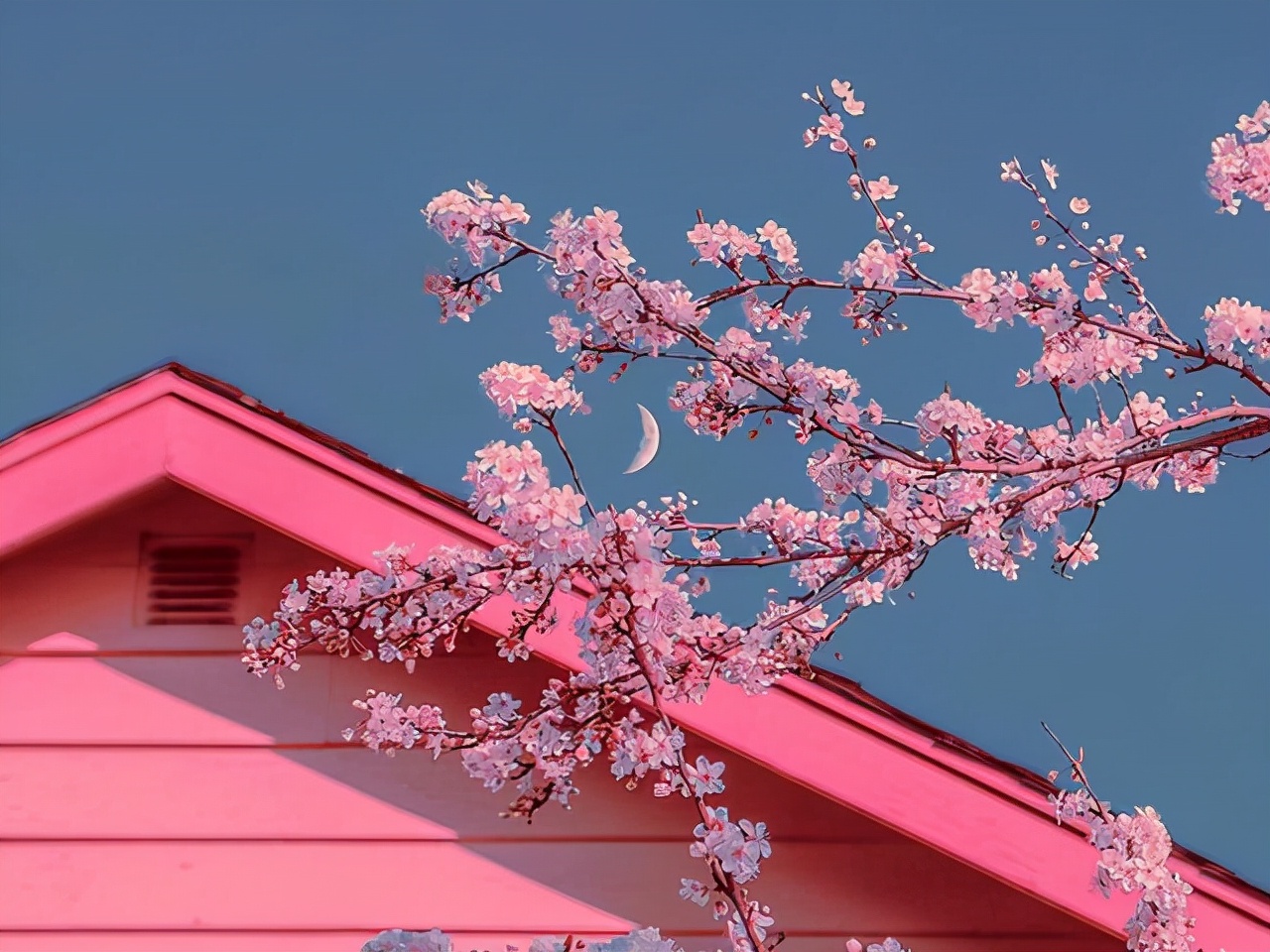 人生百味，随缘，随心，随意（感悟）