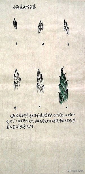 中国画写意花鸟画入门大全