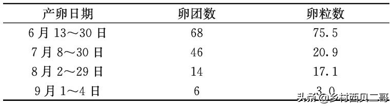 牛蛙的养殖技术（正确的牛蛙的养殖方法大全）