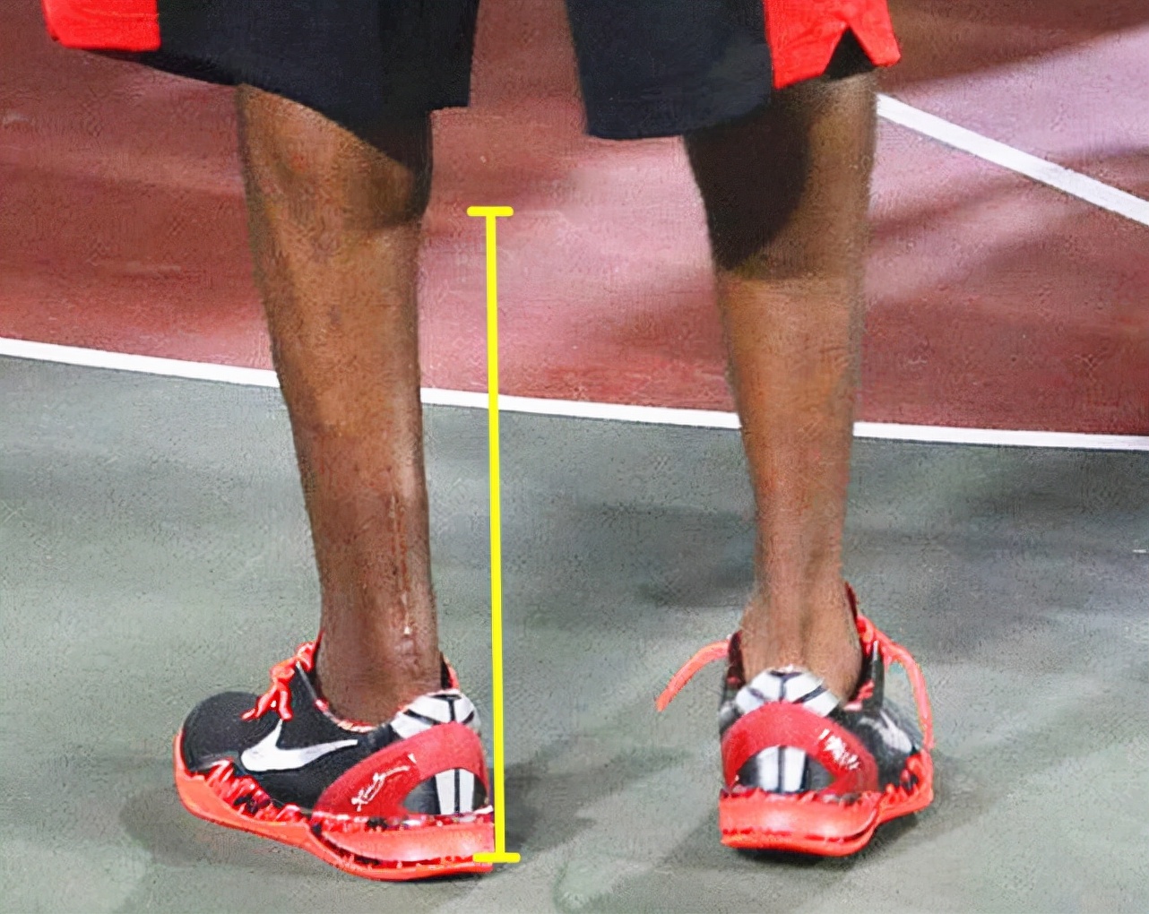 nba的跟腱为什么这么长(nba球星跟腱长度分4个等级:卡特a级,詹姆斯s级