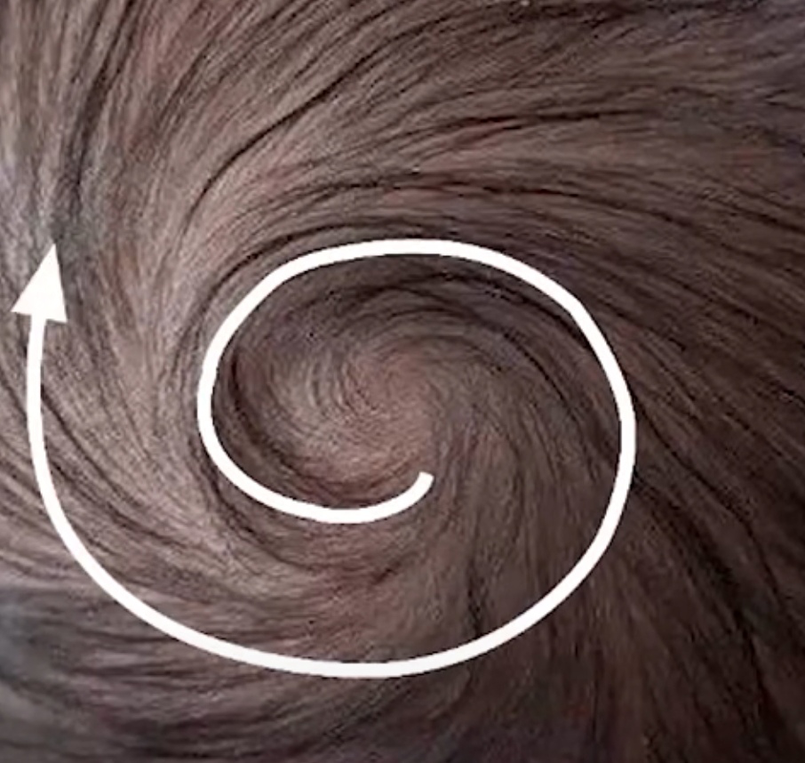 婴儿头发竖起来是什么原因(一旋横俩旋拧) - 乐宝宝贝