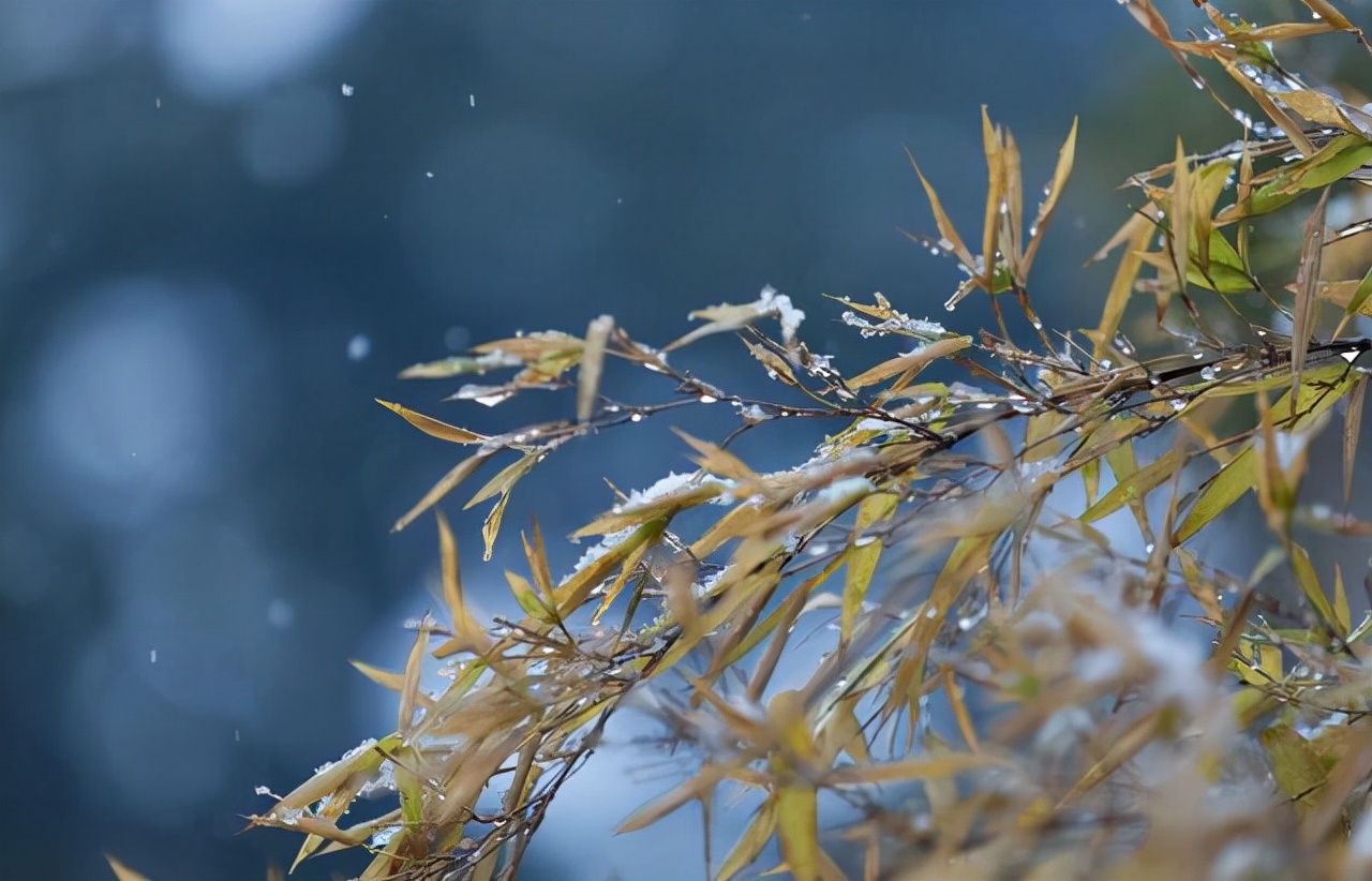 十一月：浅冬细雨飞，恋你永不悔