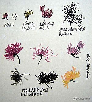 中国画写意花鸟画入门大全