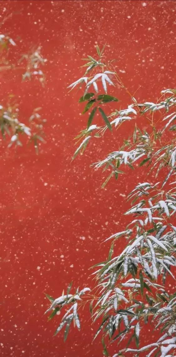 妈妈，我们总是把你藏在你的心里。