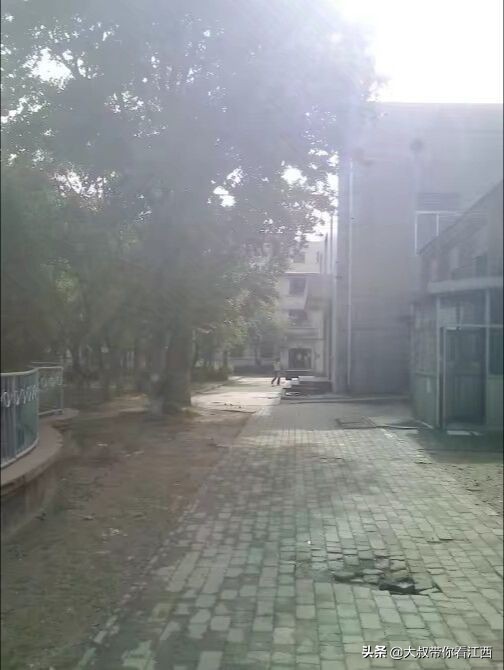 大同医专校园回忆