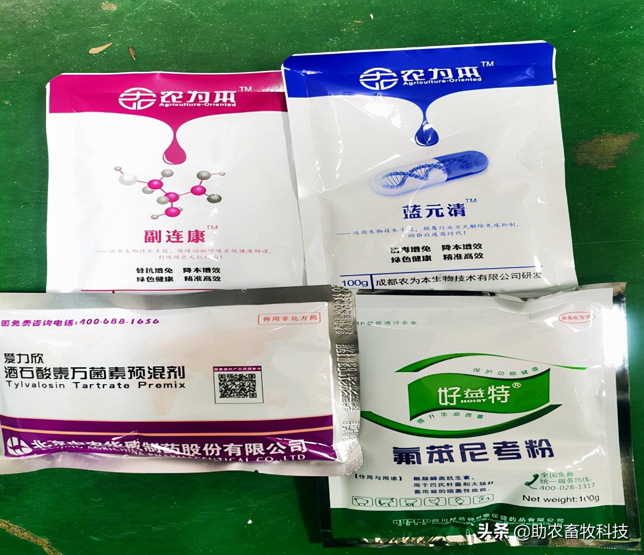 猪场10种常见疾病的症状以及用药防治方案