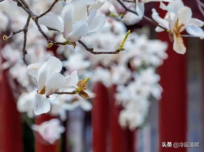 散文：秋浓夜雨，袭来丝丝伤感