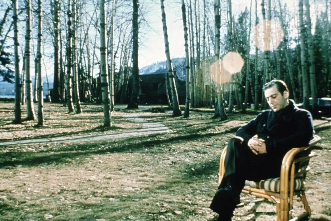 《教父2》:迈克超越了老教父,开创了历史,却也陷入了孤独