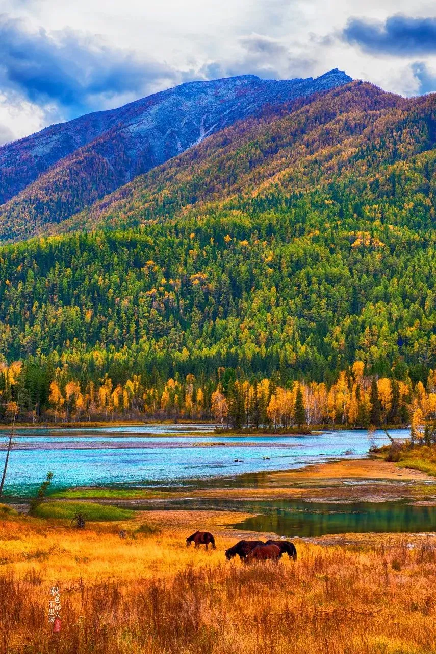 最美的风景图片大全鸟语花香人间仙境图片