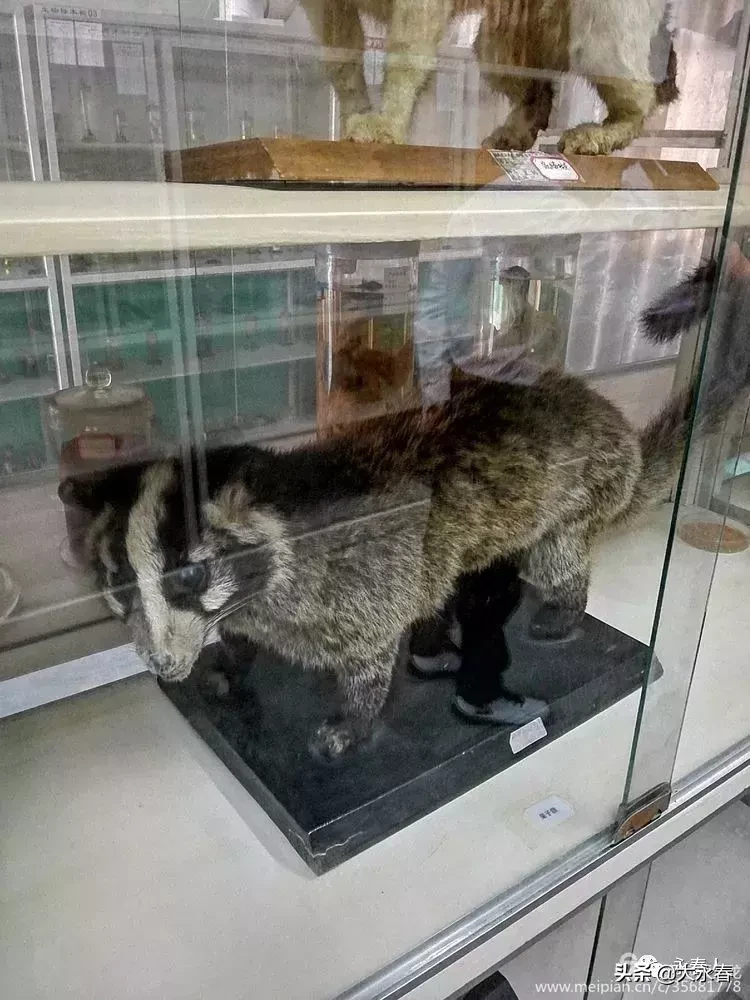 美哉！我们的永春三中