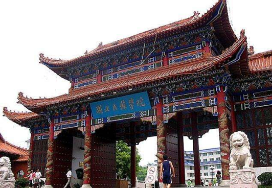 #2020高考专题#【湖北省开设医学专业的大学】