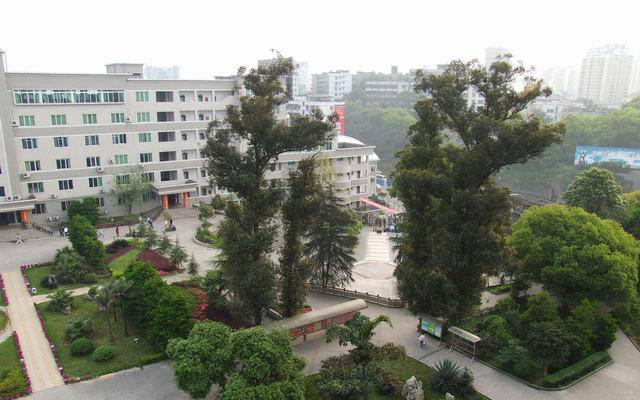 四川泸州五所好高中，泸州高中、泸县二中领跑，合江中学不容小觑