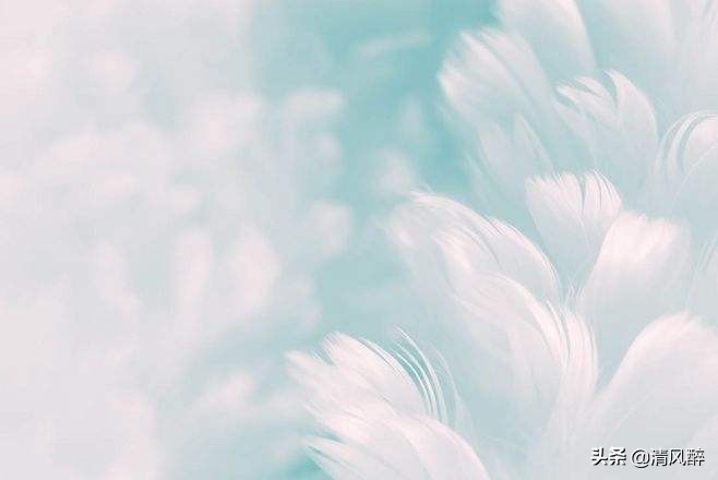 适合外出野餐的说说