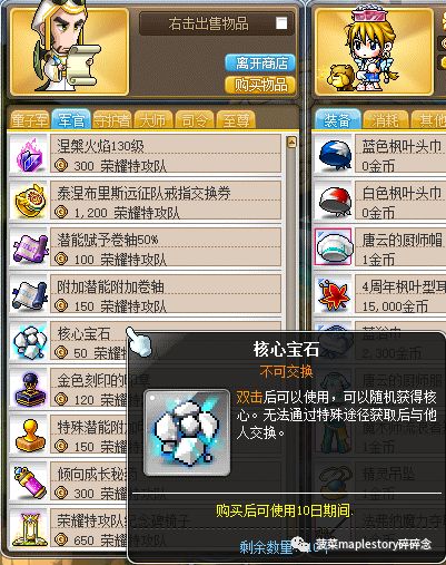 冒险岛V矩阵简介