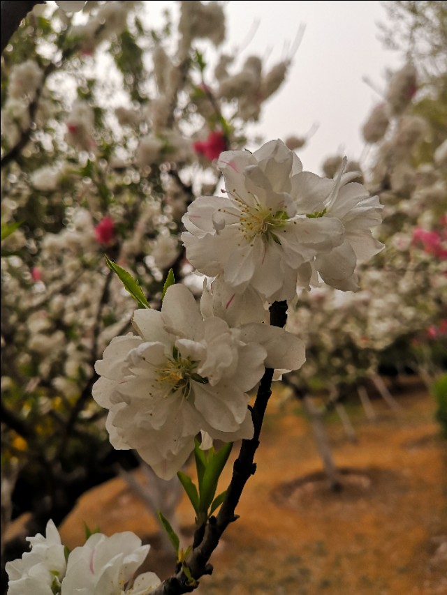 小小纰漏,能沉大船