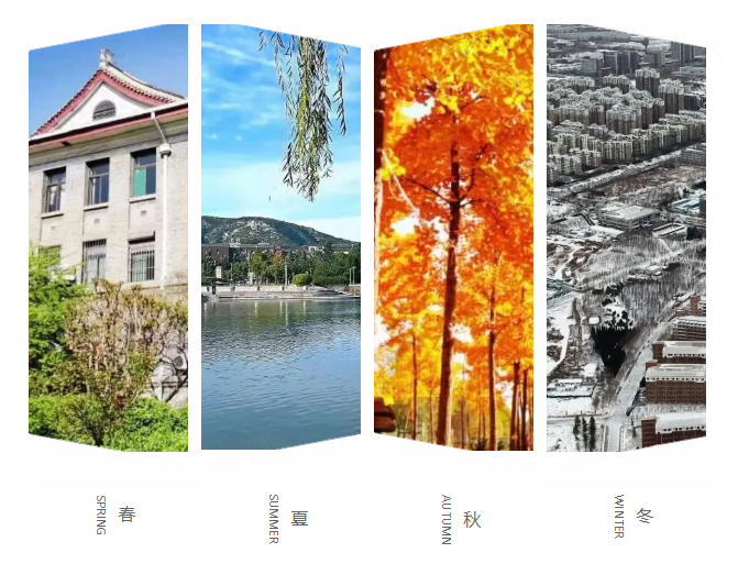 考生注意！新中国成立后山东省成立最早的本科高校，值得报考