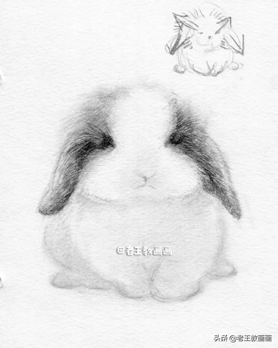 怎么画兔子（怎么画兔子才好看）
