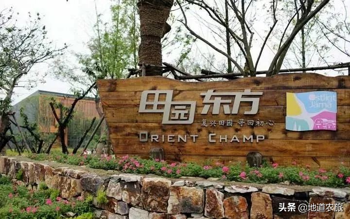 国内第一个盈利的田园综合体，看她有何绝招？