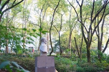 湖北大学推荐之最美的大学—武汉大学，愿做梦想的起点