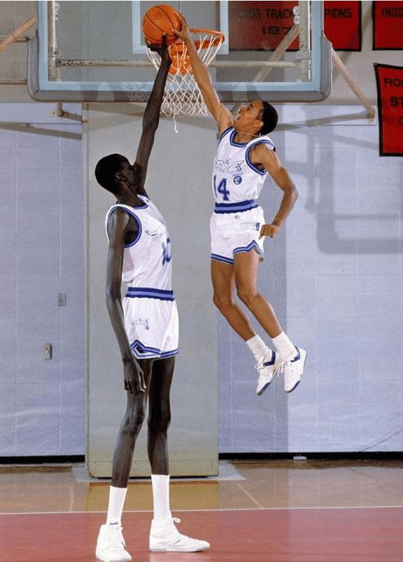 nba能站扣的有哪些（这绝对不是P图，在NBA真有人能实现“站扣”现役2人上榜）