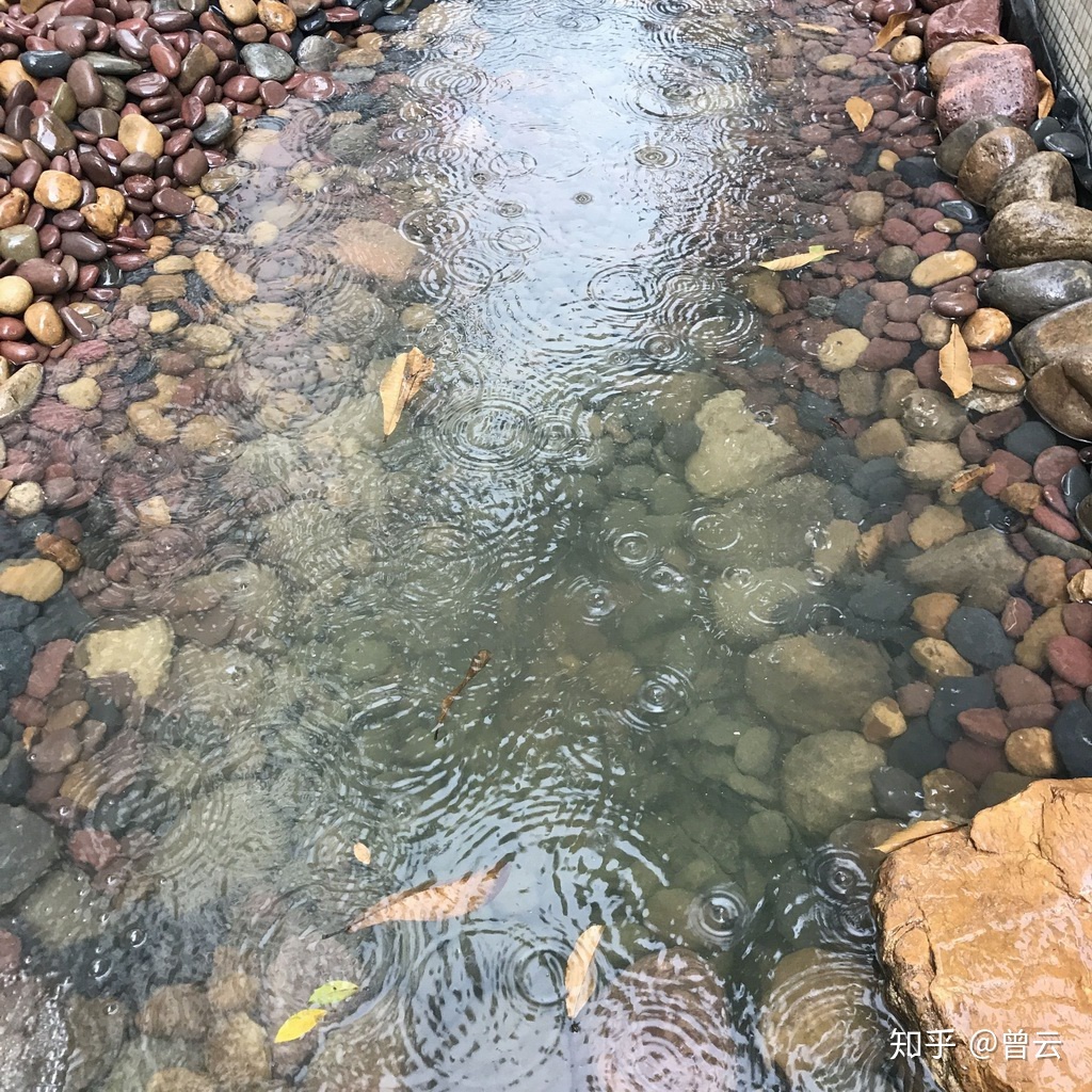 小池秋种，以待来春