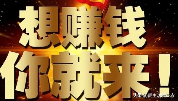 黃粉蟲收購,黃粉蟲收購商的聯系方式